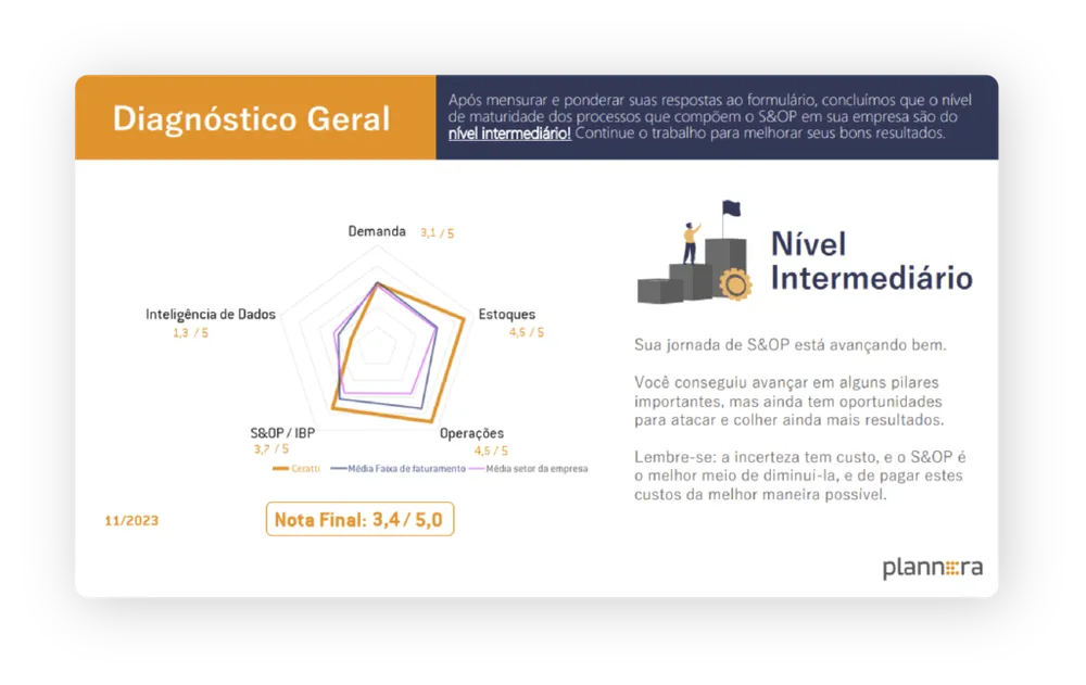 Página de diagnóstico geral do relatório, com gráfico de radar das notas por tema e o nível de maturidade