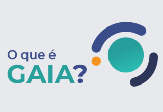 GAIA no planejamento integrado apoiando a investigação e a preparação de decisões